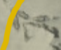 1751853104_007e3ef6003c0f1e_image.png